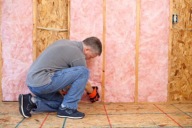 Best Insulation for Specific Applications in Pleasant Run, OH