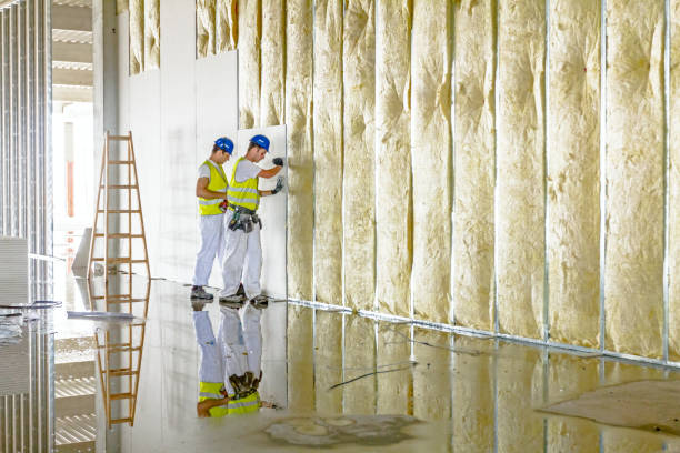 Best Types of Insulation in Pleasant Run, OH